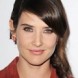 Cobie Smulders de retour dans Agents of SHIELD