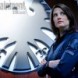 SHIELD! 