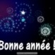 Bonne ann�e !!!